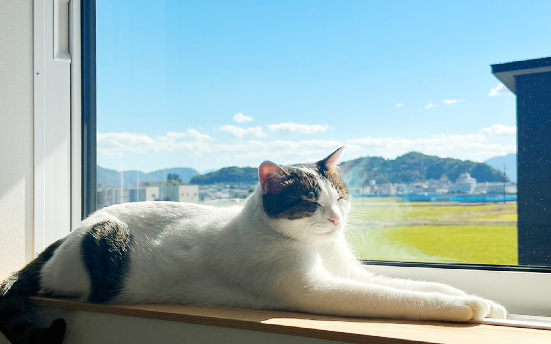 休日の過ごし方や、趣味を教えてください。